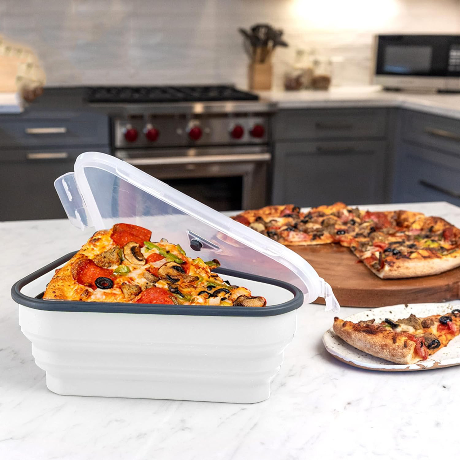 Компактный силиконовый контейн – обзор и цена Pizza Conveyor Oven